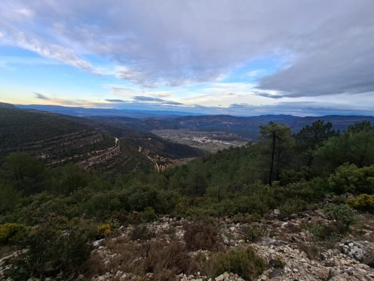 WhatsApp Image 2026-02-20 at 10.58.43