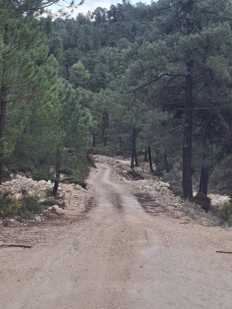 WhatsApp Image 2026-02-20 at 10.58.45 (1)