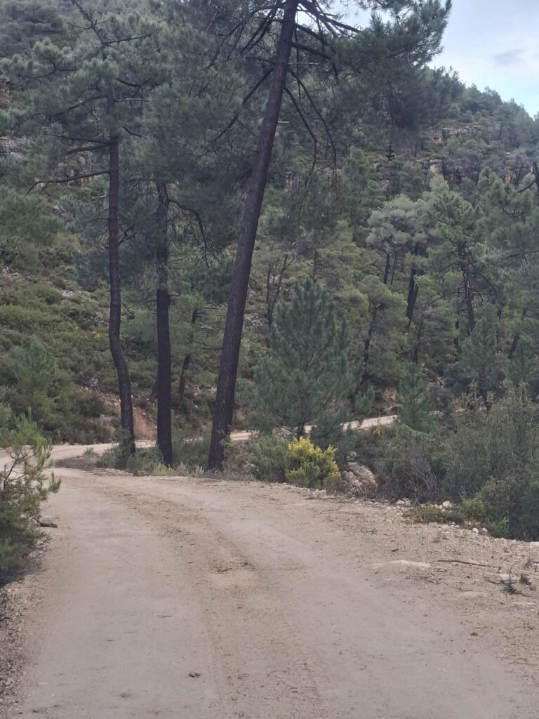 WhatsApp Image 2026-02-20 at 10.58.45