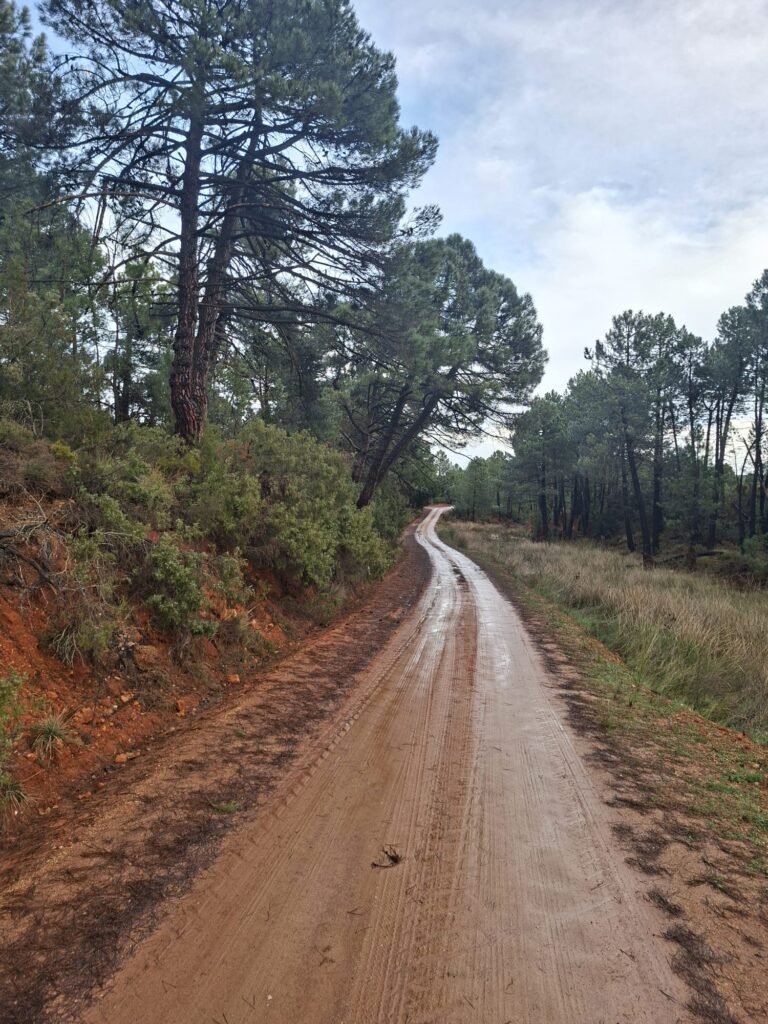 WhatsApp Image 2026-02-20 at 10.58.47 (1)