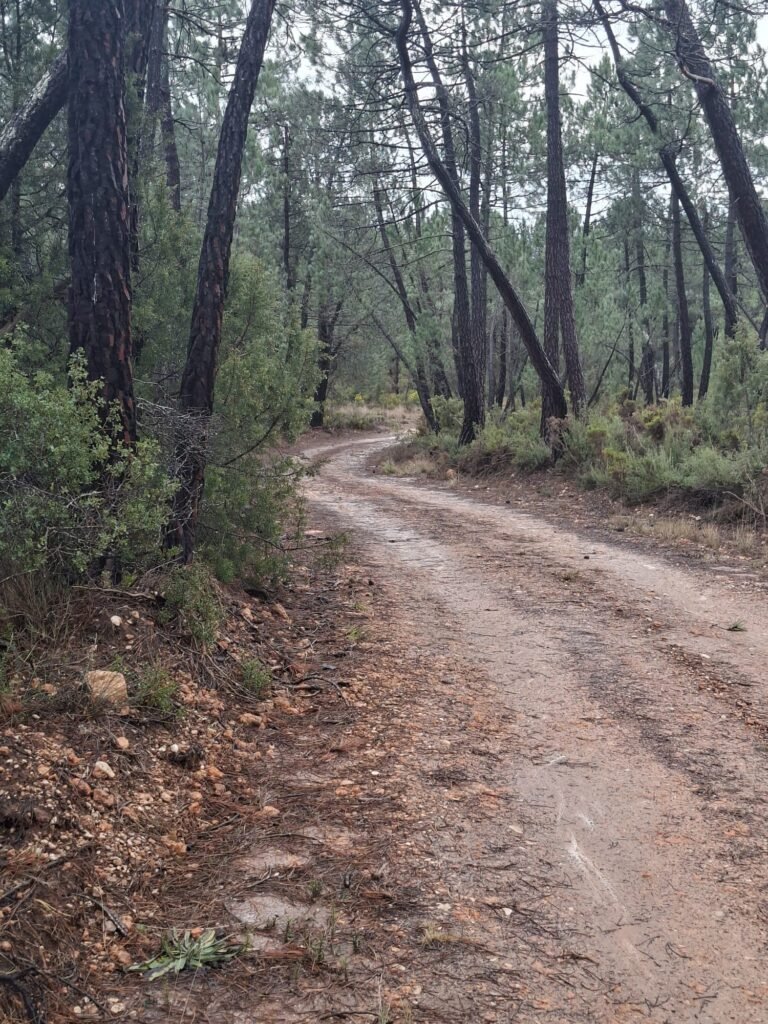 WhatsApp Image 2026-02-20 at 10.58.47 (2)