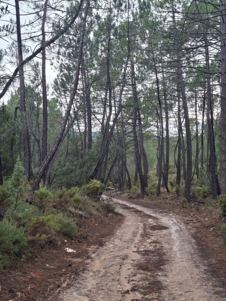 WhatsApp Image 2026-02-20 at 10.58.47 (3)