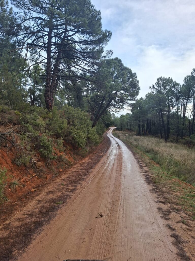 WhatsApp Image 2026-02-20 at 10.58.47 (4)