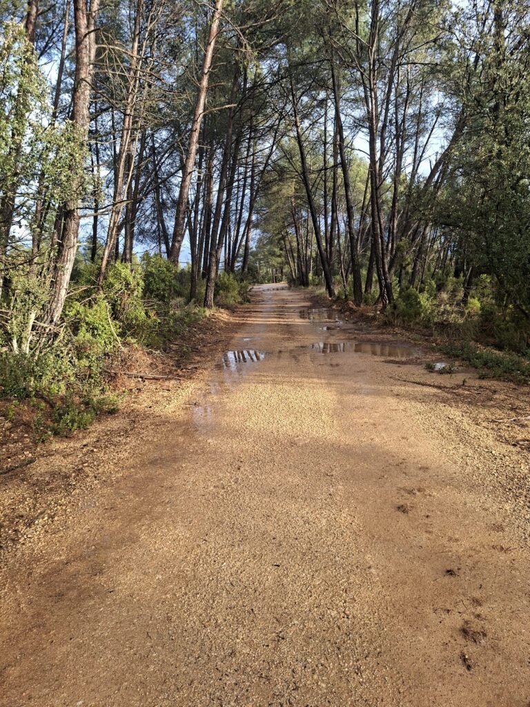 WhatsApp Image 2026-02-20 at 10.58.47 (5)