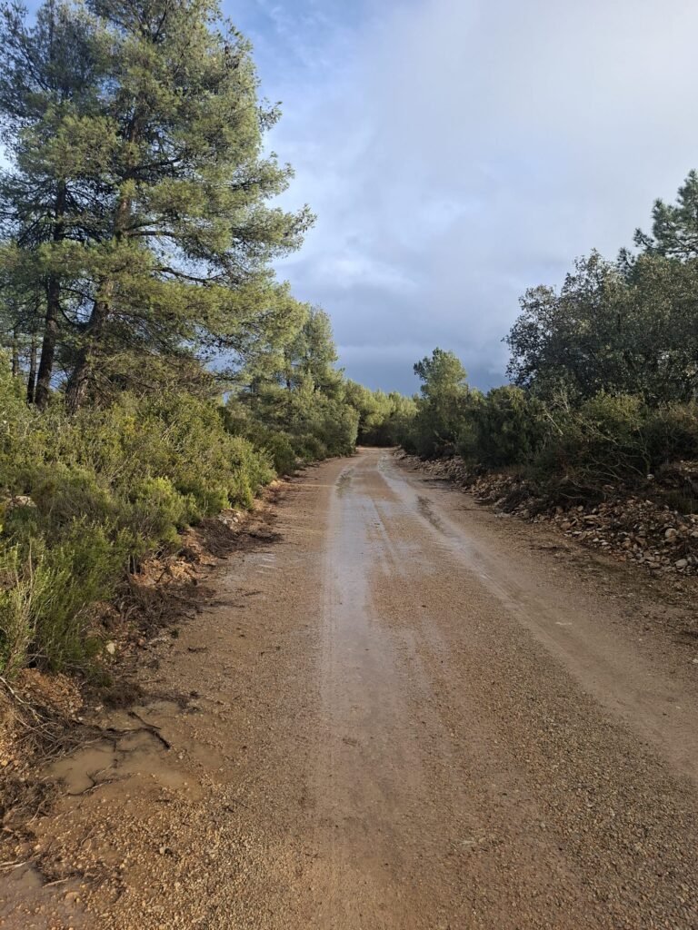 WhatsApp Image 2026-02-20 at 10.58.47 (6)