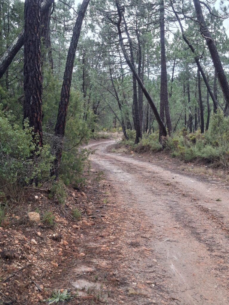 WhatsApp Image 2026-02-20 at 10.58.47