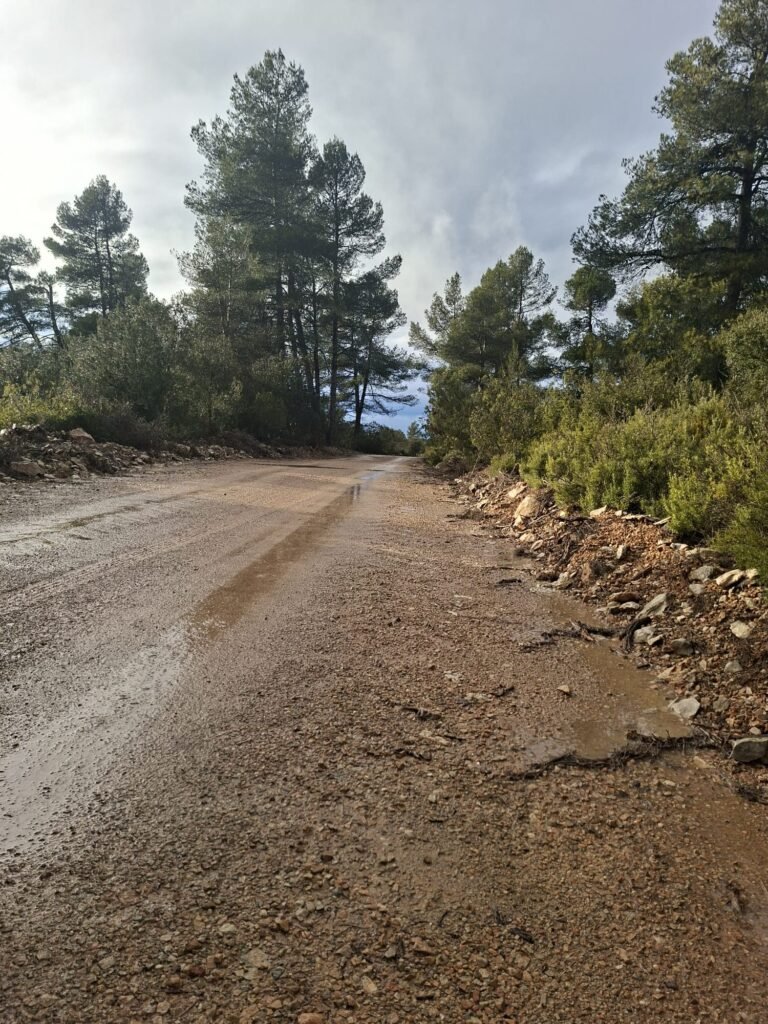 WhatsApp Image 2026-02-20 at 10.58.48 (1)