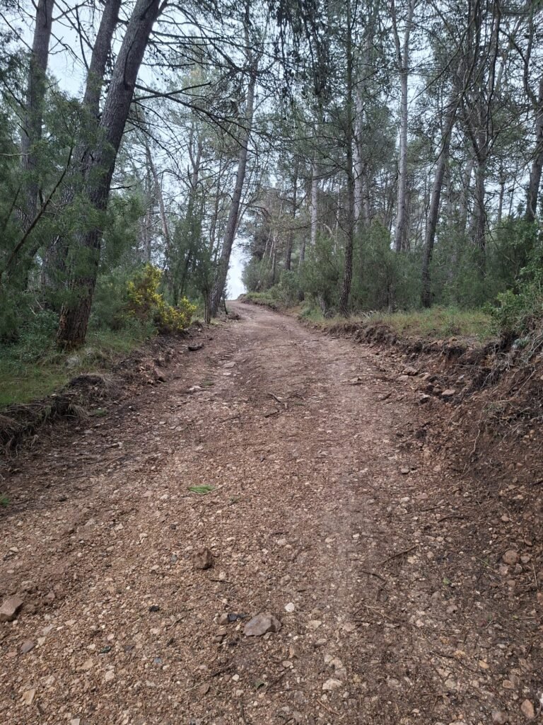 WhatsApp Image 2026-02-20 at 10.58.48 (2)