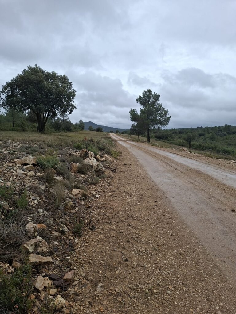 WhatsApp Image 2026-02-20 at 10.58.48